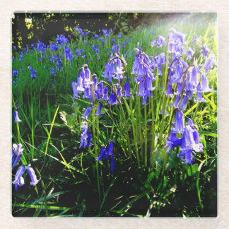 Bluebell glass coaster