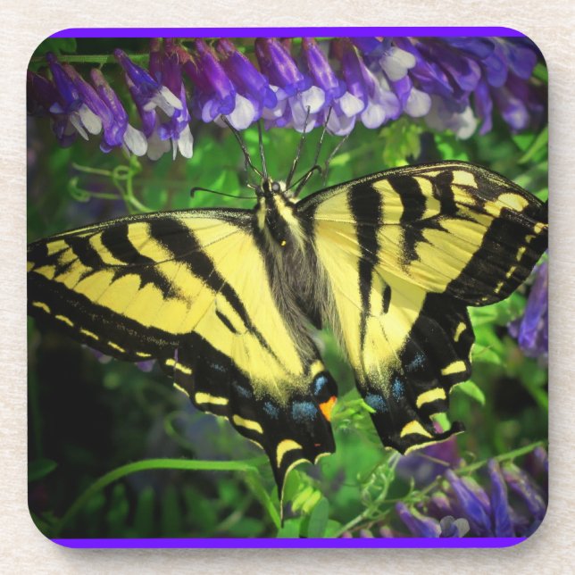Bluebell Nectar for Butterfly Lunch Beverage Coaster (Front)