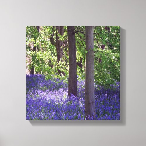Bluebell Wood Nature Picture Stretched Canvas Prin