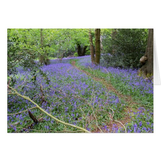 Bluebell woods cards (Front Horizontal)