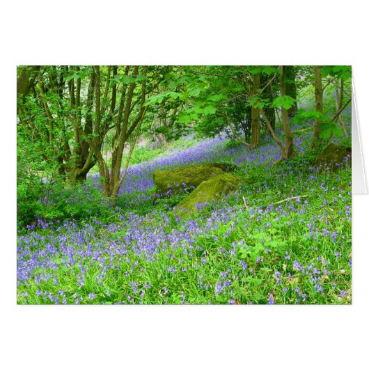 Bluebell Woods Cards (Front Horizontal)