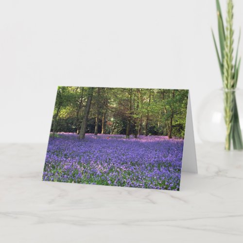 Bluebell Woods England Card