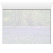 Bluebell Woods, England  flowers (Inside Horizontal (Bottom))