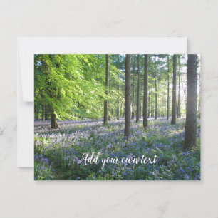 Bluebell Woods in Evening Sunshine - Personalized Postcard