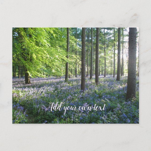 Bluebell Woods in Evening Sunshine - Personalized Postcard (Front)