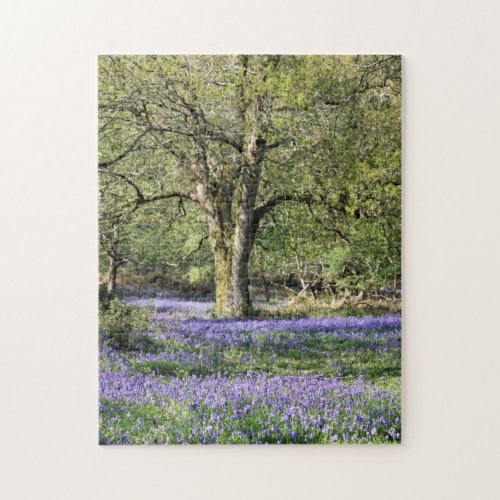 Bluebell Woods Jigsaw Puzzle