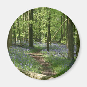 Bluebell woods magnet