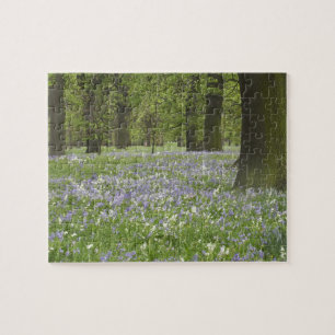 Bluebells and Oak Trees in Spring, Little Hagley Jigsaw Puzzle