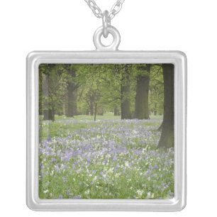 Bluebells and Oak Trees in Spring, Little Hagley Silver Plated Necklace