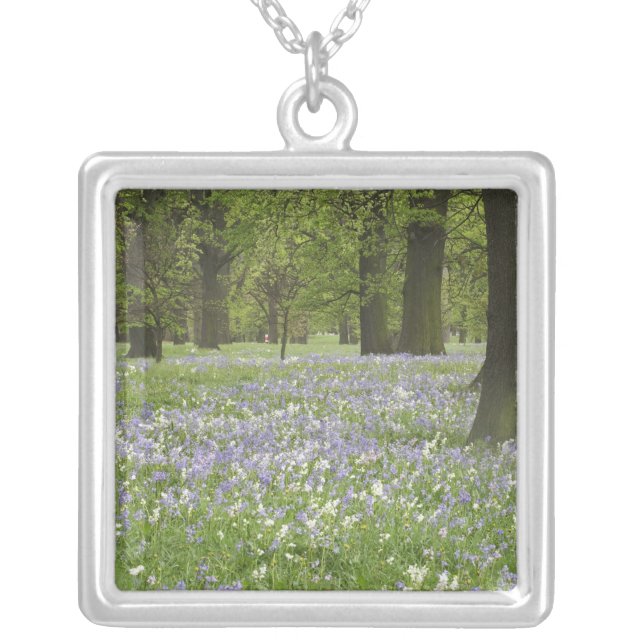 Bluebells and Oak Trees in Spring, Little Hagley Silver Plated Necklace (Front)