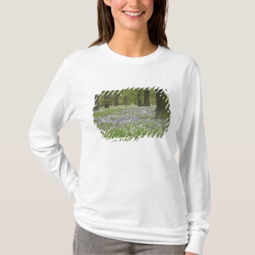 Bluebells and Oak Trees in Spring Little Hagley T_Shirt