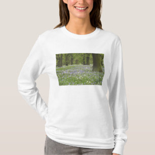 Bluebells and Oak Trees in Spring, Little Hagley T-Shirt