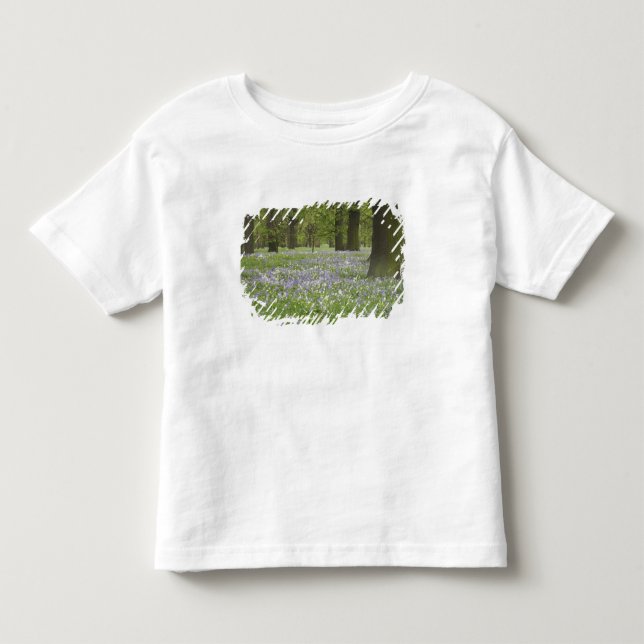 Bluebells and Oak Trees in Spring, Little Hagley Toddler T-shirt (Front)