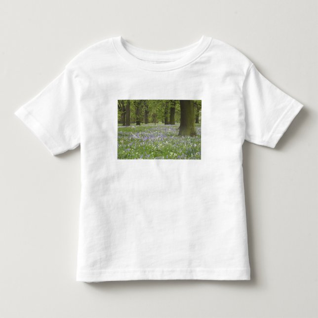 Bluebells and Oak Trees in Spring, Little Hagley Toddler T-shirt (Front)