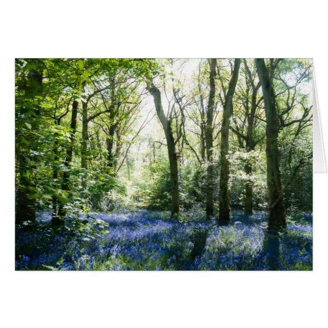 Bluebells and spring sunbeams cards (Front Horizontal)