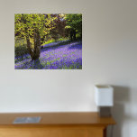 Bluebells Canvas Print<br><div class="desc">Canvas with photo of bluebells in West Sussex from New Forest Pics</div>