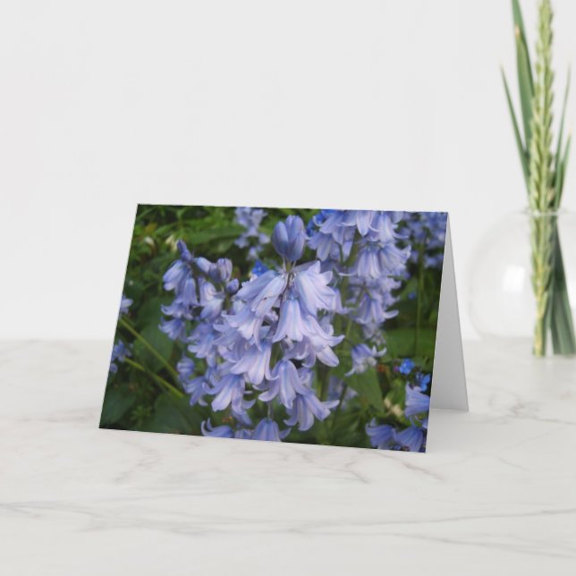 Bluebells Card (Front)