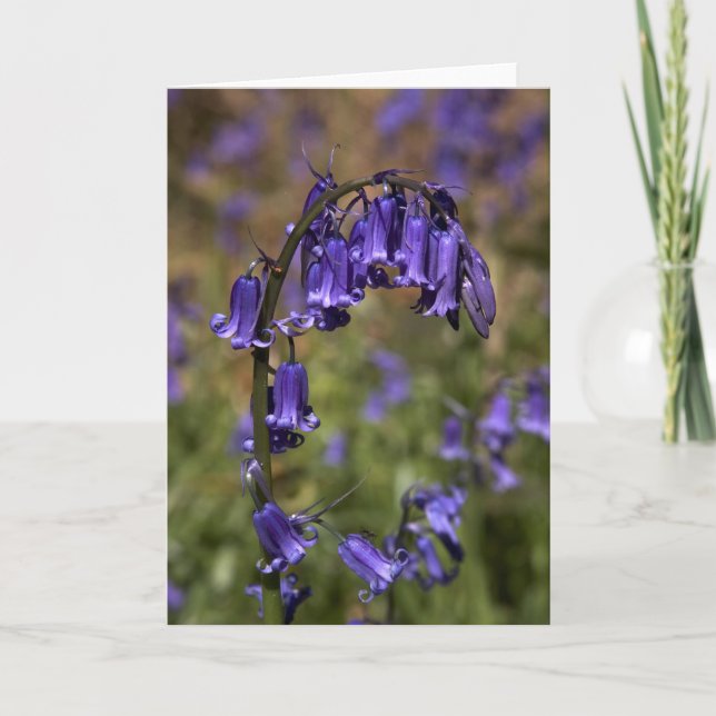 Bluebells card by cARTerART (Front)