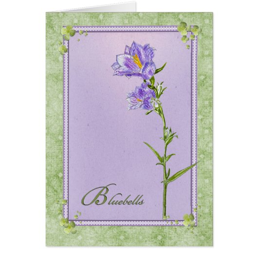 Bluebells Cards (Front)