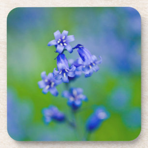 Bluebells flower Coaster