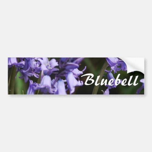 Bluebells Flowers Nature Floral Blue Flower Bumper Sticker