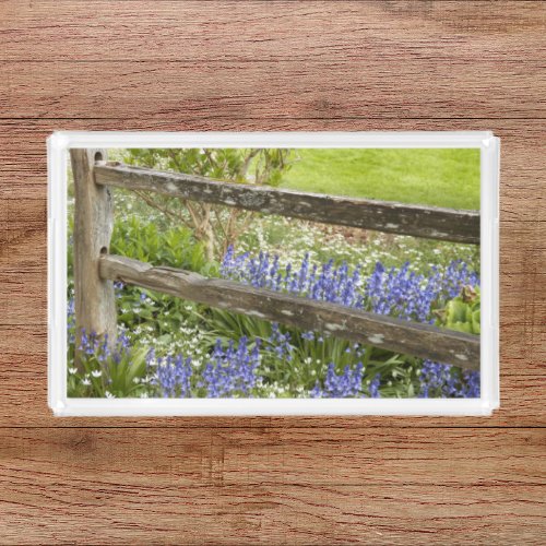 Bluebells Growing Along Wooden Fence Acrylic Tray