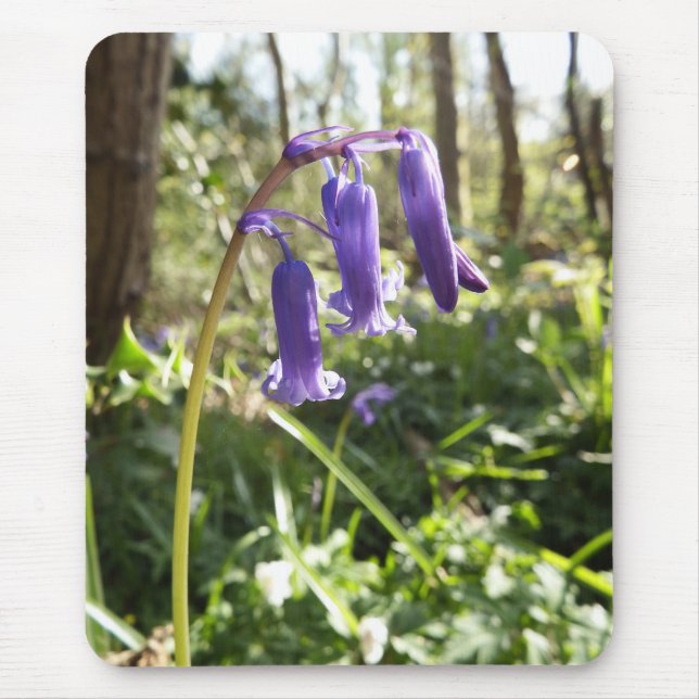 Bluebells Mousepad (Front)