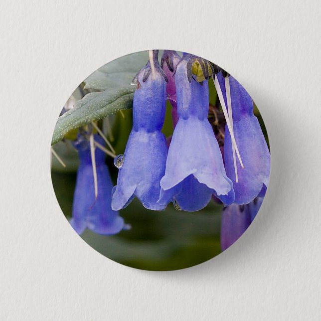 Bluebells Pinback Button (Front)