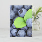 Blueberries (Standing Front)