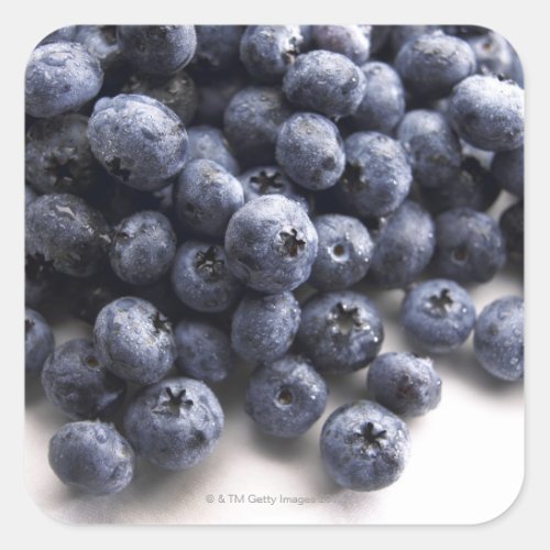 Blueberries 2 square sticker