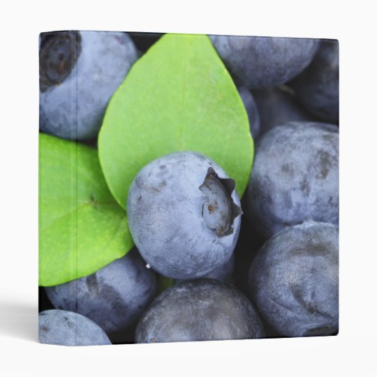Blueberries 3 Ring Binder