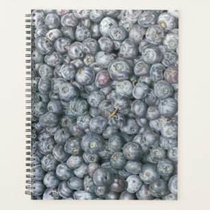 Blueberries Art Planner