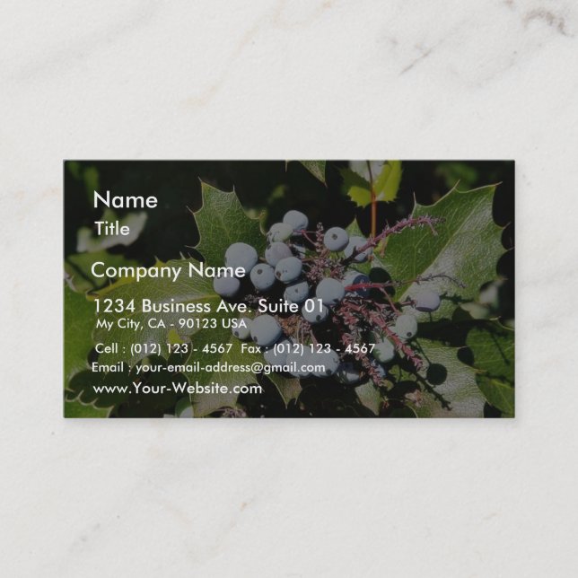 Blueberries Business Card (Front)