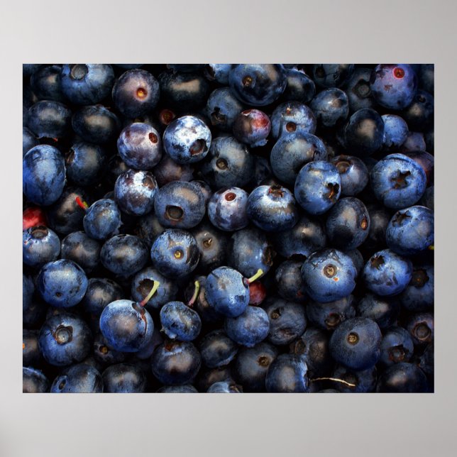 Blueberries Canvas Poster (Front)