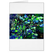 Blueberries Cards (Front)