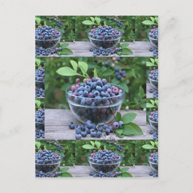 Blueberries Chefs healthy cuisine Breakfast Salads Postcard (Front)