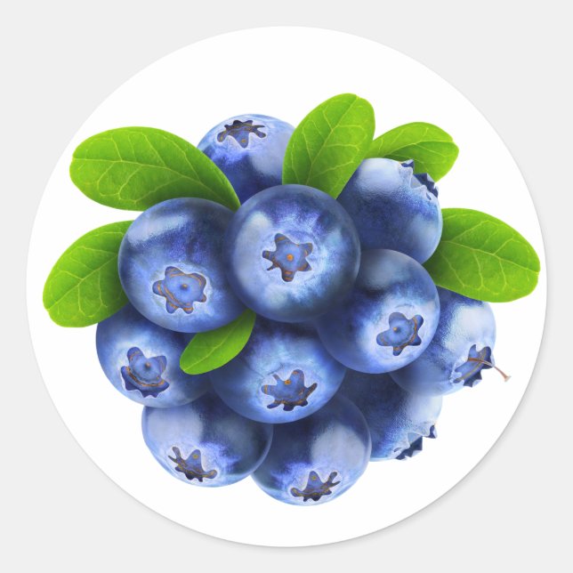 Blueberries Classic Round Sticker (Front)
