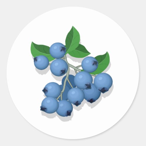 Blueberries Classic Round Sticker