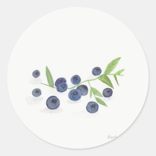 Blueberries fruit kitchen decor classic round sticker