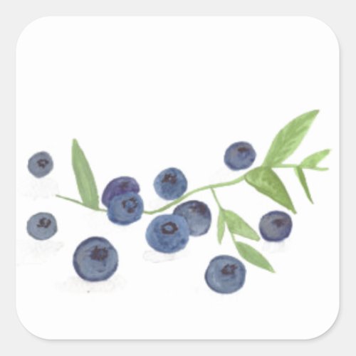 Blueberries fruit kitchen decor square sticker