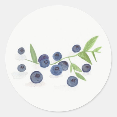 Blueberries fruit kitchen decor watercolor  classic round sticker