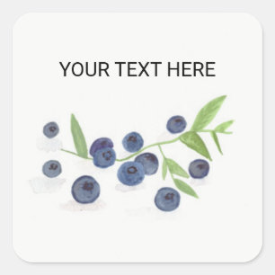 Blueberries fruit kitchen watercolor food rustic  square sticker