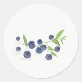 Blueberries fruit kitchen watercolor rustic chic classic round sticker