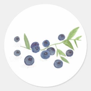 Blueberries fruit kitchen watercolor rustic chic classic round sticker