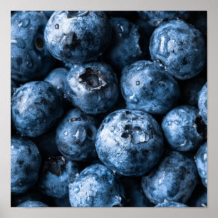 Blueberries Fruit Poster