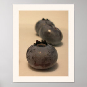 Blueberries I have Known 3 Poster