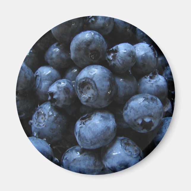 Blueberries Magnet (Front)