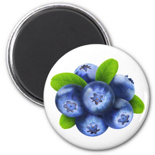 Blueberries Magnet