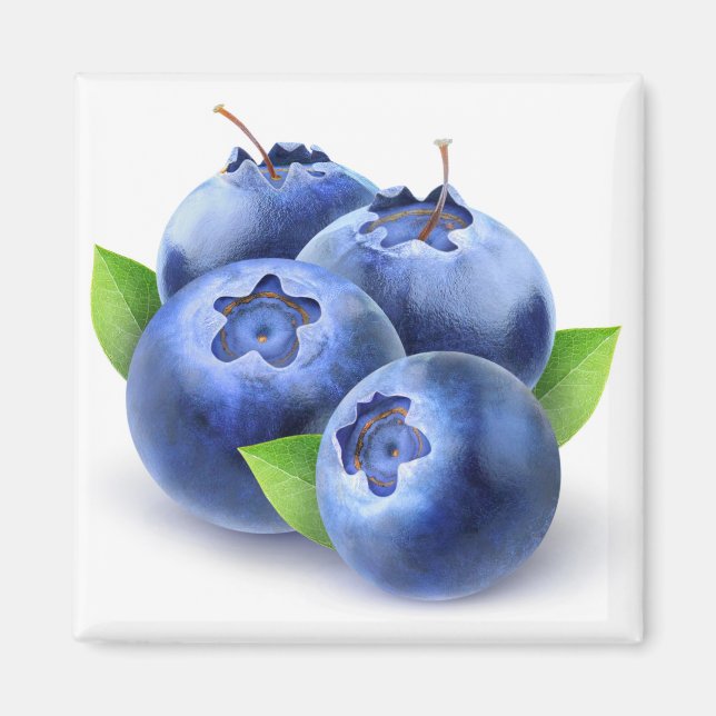 Blueberries Magnet (Front)
