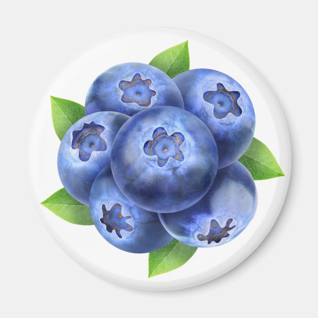 Blueberries Magnet (Front)